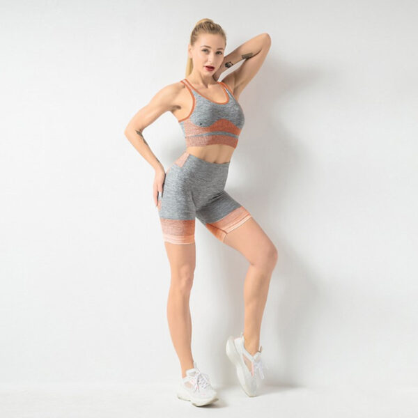 Seamless Yoga Wear Sports Suit Women Fitness Vest Bra Hip Lifting Tight Yoga Shorts - Image 5